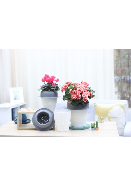 Dekoratif Kendini Otomatik Sulayan Akıllı Saksı (Büyük Boy)