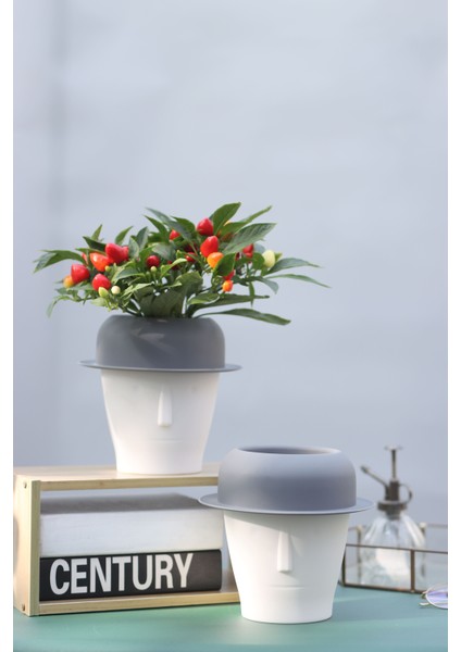 Dekoratif Kendini Otomatik Sulayan Akıllı Saksı (Büyük Boy) indirimleri