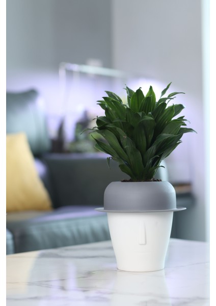 Dekoratif Kendini Otomatik Sulayan Akıllı Saksı (Büyük Boy)