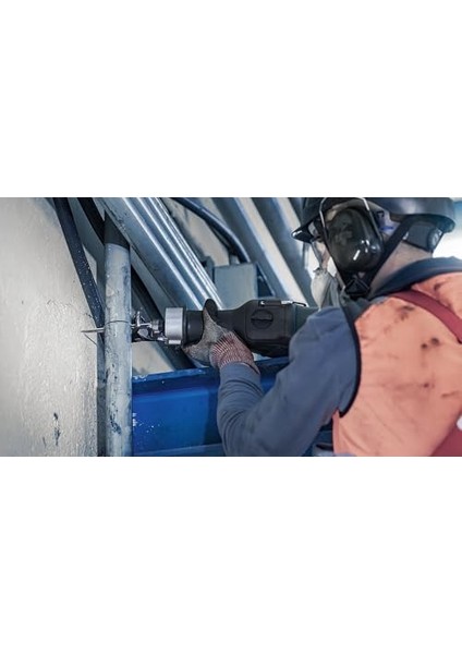 2608657528 Testere 5 Tilki Kuyruğu Testere S 1130 Cf fiyatları