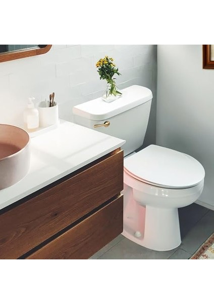 6094BP Strongarm Tank Kolu, Evrensel Ön Açılı Yan Sol ve Sağ Montaj Tuvaletlere Uyar, Fırçalanmış Altın