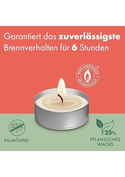 D-Light Tealight Mumları, 60 Adet, Torba Içinde, Yanma Süresi 6 Saat, Dekoratif Ev Mumları, Beyaz, Doğal Bitkisel Balmumu Içerir, Palmiye Yağı Içermez fiyatları