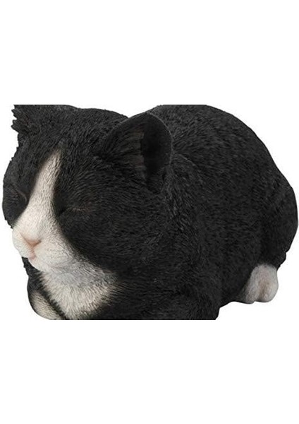 Hi- Ltd Geschenk Statue, Schlafende Katze, Schwarz/weiß