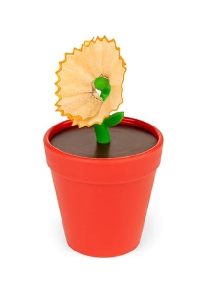 Saksıda Çiçek Kalemtıraş