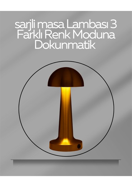 USB Şarjlı Dokunmatik LED Masa Lambası – 3 Renk Modu & Dimmer - BI001V-4YV6N9