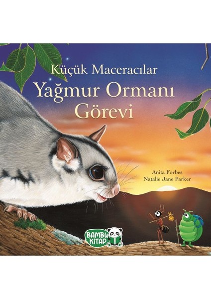 Küçük Maceracılar - Yağmur Ormanı Görevi