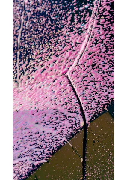 Cherry Touch Pembe Renkli Oto Yıkama Köpüğü Oto Şampuan 1:15 Konsantre 5 L indirimleri