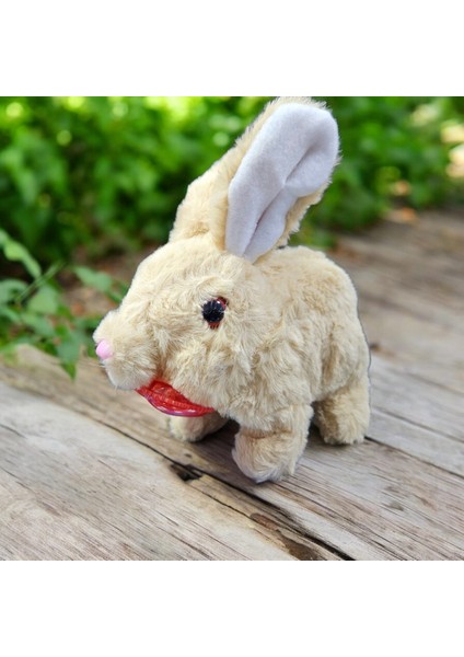Elektronik Pilli Zıplayan Hareketli Peluş Sevimli Kalpli Tavşan Oyuncak 18 Cm. Beyaz Gri Pembe Bej
