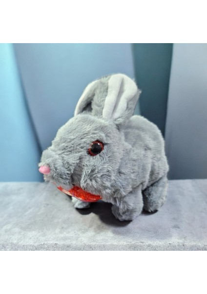 Elektronik Pilli Zıplayan Hareketli Peluş Sevimli Kalpli Tavşan Oyuncak 18 Cm. Beyaz Gri Pembe Bej