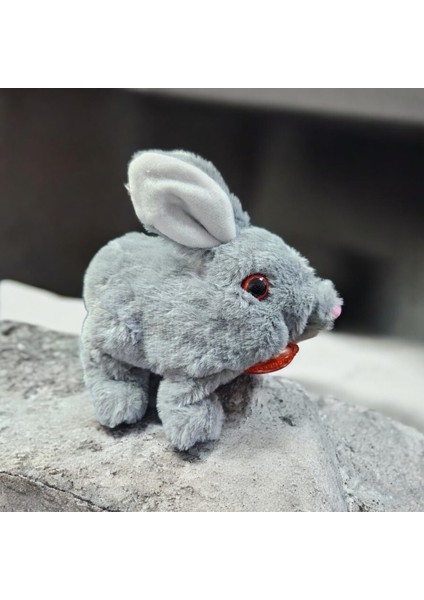 Elektronik Pilli Zıplayan Hareketli Peluş Sevimli Kalpli Tavşan Oyuncak 18 Cm. Beyaz Gri Pembe Bej fiyatları