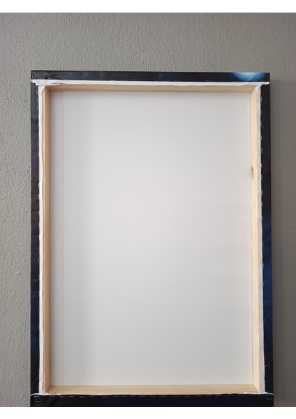 50X70 Doğal Ahşap Tuval Çerçeveli Harry Potter Tablosu fiyatları