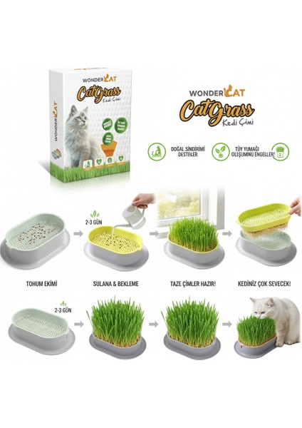 Kedi Kulaklı Kedi Otu Mix Karışım Kedi Çimi fiyatları