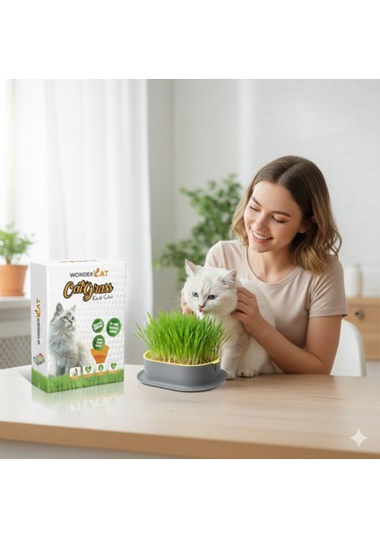 Kedi Kulaklı Kedi Otu Mix Karışım Kedi Çimi modelleri