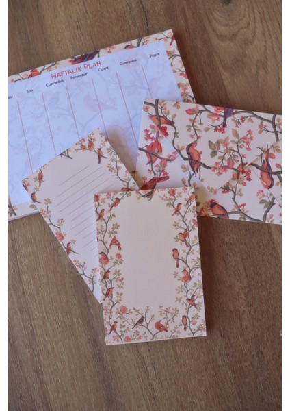 Planlayıcı Set Desenli 50 Yp. + Zarf