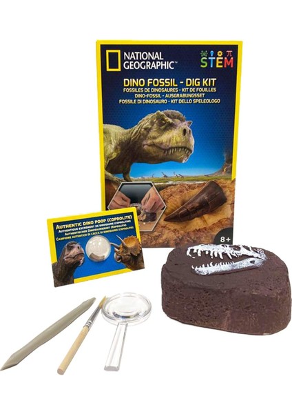 National Geographic Dinozor Kazı Seti - Çocuklar Için Büyüleyici Kazı Setleri, Replika T-Rex Dişi