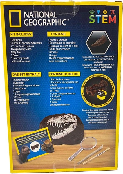 National Geographic Dinozor Kazı Seti - Çocuklar Için Büyüleyici Kazı Setleri, Replika T-Rex Dişi modelleri