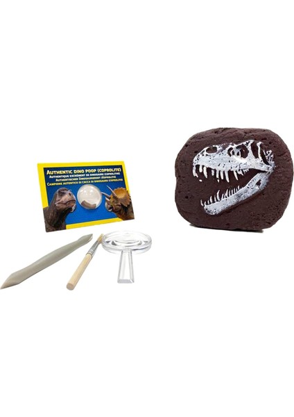 National Geographic Dinozor Kazı Seti - Çocuklar Için Büyüleyici Kazı Setleri, Replika T-Rex Dişi indirimleri
