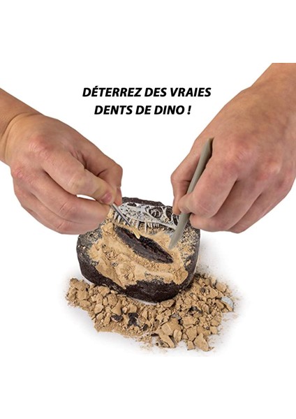 National Geographic Dinozor Kazı Seti - Çocuklar Için Büyüleyici Kazı Setleri, Replika T-Rex Dişi