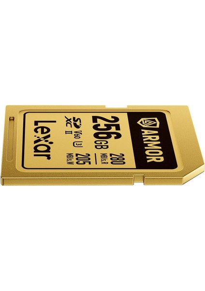 Sdxc Pro Gold Serisi Zırh Uhs-Ii Kart 256 GB IP68 R280/W205 indirimleri