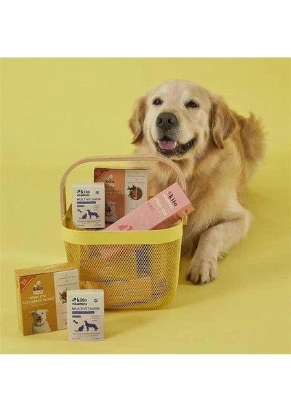 Balık Yağı 200 ml (Kedi ve Köpekler Için Omega 3 & 6 Içerikli Deri, Tüy, Eklem ve Kalp Sağlığı