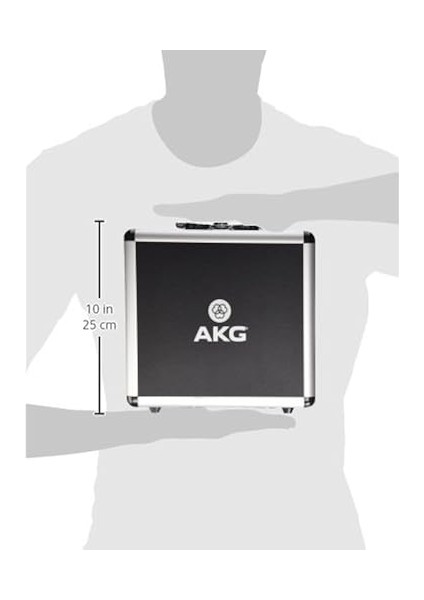 P220 Geniş Diyaframlı Stüdyo Kaayıt Mikrofonu fırsatları