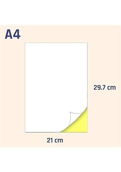 Nexup Label A4 Etiket Yapışkanlı | 100 Sayfa Adres Etiketi 210X297 mm - 100 Sayfa Çok Amaçlı