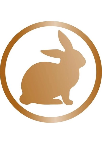 Sticks Hindi Etli Tavşan Etli Tahılsız Ödül Çubukları 4lü 20 gr indirimleri