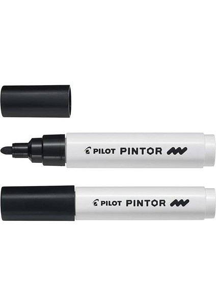 Pılot Pintor (M) - Siyah