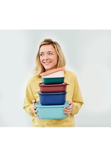 - Multi Bowl Cirqula Rectangular - Kapaklı Saklama Kabı - Buzdolabı Için Hava Geçirmez Saklama fiyatları