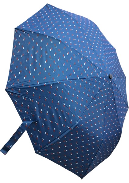 Çok Renkli 10 Telli Otomatik Açılır Şemsiye, Dayanıklı ve Şık Tasarım modelleri