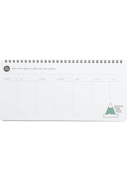 Hisli Şeyler 13X27 Spiralli, Stickerlı Haftalık Planner - Zirvedeyim Canım Duymuyorum modelleri