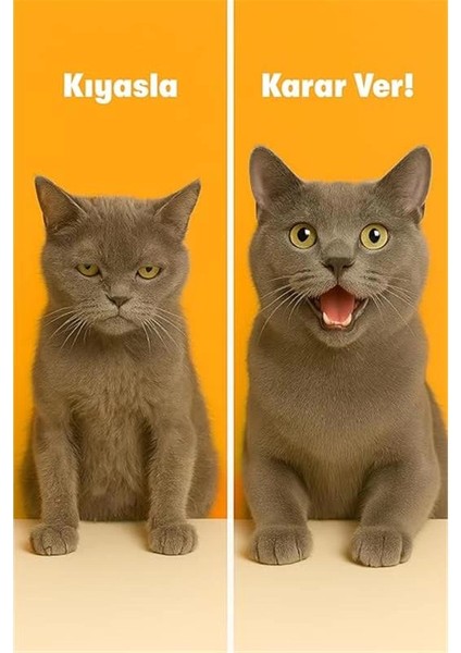 Kediler Için Plus B Damla 50ML ve Tüy Dökülmesini Engelleyici Biotinli Tüy Sağlığı Damlası modelleri