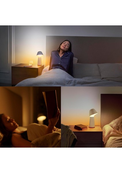 Twilight Akıllı Uyku ve Uyandırma Masa Lambası, Beyaz ve Renkli Işık, Bluetooth Uyumlu, fırsatları