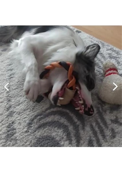 And Wall-E Köpekler Için Kolajen Halka Çubuk, Köpek Kemiği Köpek Kolajen Çubukları, Çiğneme fiyatları