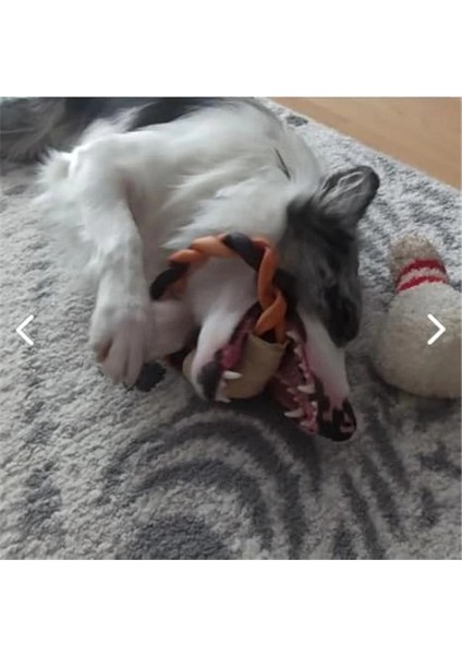 And Wall-E Köpekler Için Kolajen Halka Çubuk, Köpek Kemiği Köpek Kolajen Çubukları, Çiğneme indirimleri