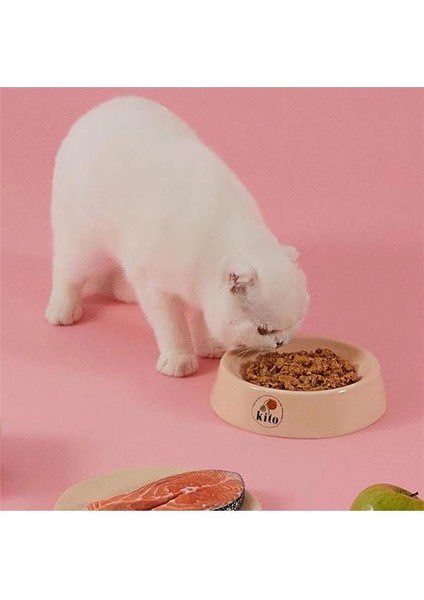 Fresh Somon Etli Taze Kedi Yemeği indirimleri