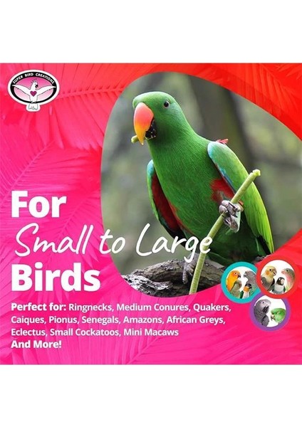 Kuşlar Için Rüzgar Çanları Oyuncak modelleri