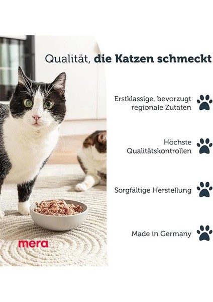 Finest Fit Pouch Yaş Kedi Maması 85 Gram fırsatları