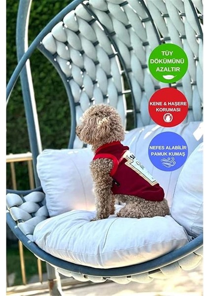 Barbeque Yazlık Köpek Atlet Köpek Kıyafeti (X-Small) modelleri