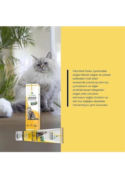 Malt Paste 3 Etkili Kedi Tüy Yumağı Önleyici Macun 100G modelleri