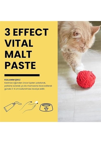 Malt Paste 3 Etkili Kedi Tüy Yumağı Önleyici Macun 100G fırsatları