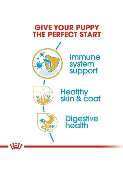 Cocker Kuru Köpek Maması, Yavru Köpek, 3 kg fırsatları