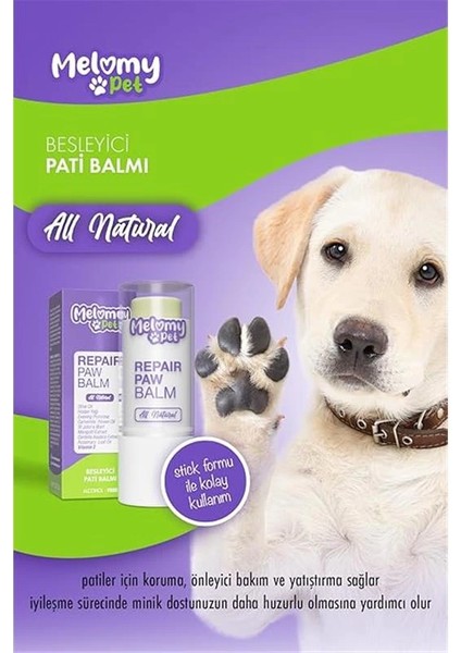 Kedi & Köpek Besleyici Pati Balmı modelleri