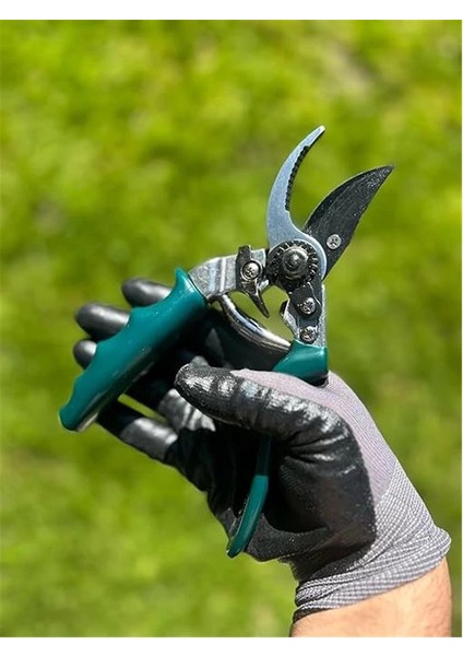 53143 Budama Makası Dön.saplı modelleri