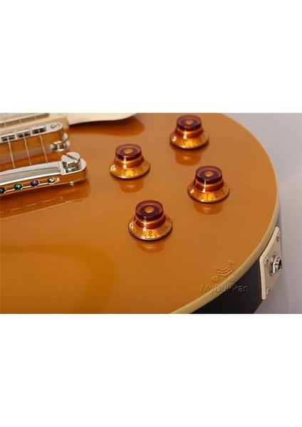 CR200GT Elektro Gitar - Gold Top modelleri