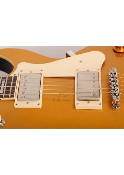 CR200GT Elektro Gitar - Gold Top fırsatları