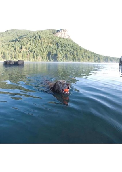 ! Ultra Ball Köpek Oyun Topu (Xl Boy) fiyatları