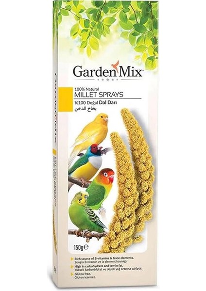 Platin Sarı Dal Darı 150 gr fiyatları