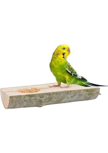 X-Perk Doğal Ağaç Kuş Tüneği ve Yemlik Kütük Tünek