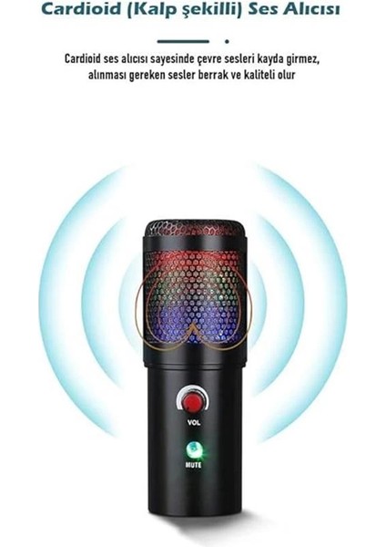 A6S-A Uzaktan Eğitim-Yayıncı Mikrofon Seti